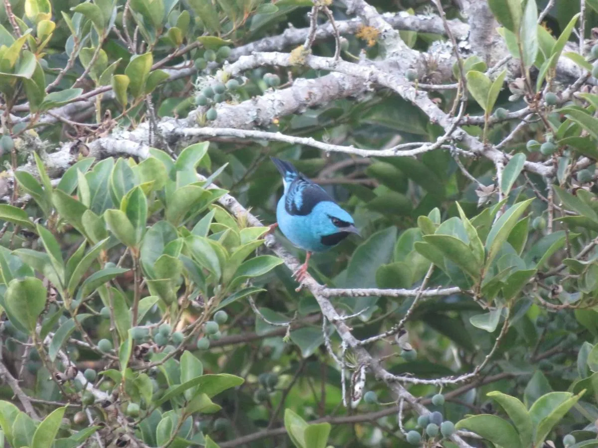 Pousada Biso Finoca Ibiraquera Imbituba  Brazil