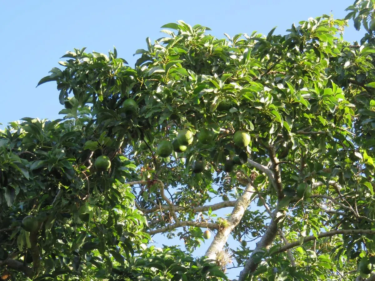 Pousada Biso Finoca Ibiraquera Imbituba  0*, Imbituba (Santa Catarina)